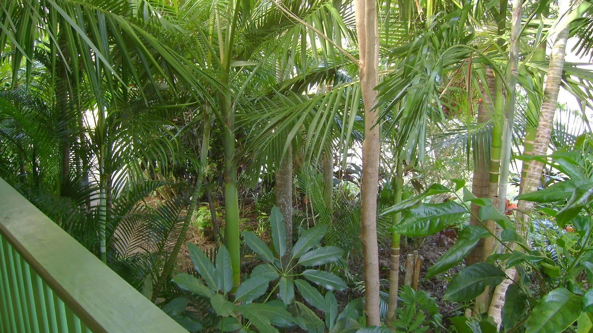 Tropical Nites Holiday Townhouses Port Douglas 4*,  Australia